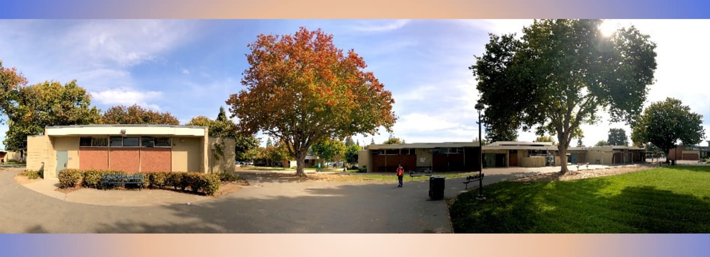 W.E. Mitchell Middle School — Arts