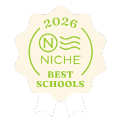 Niche Lime Ribbon