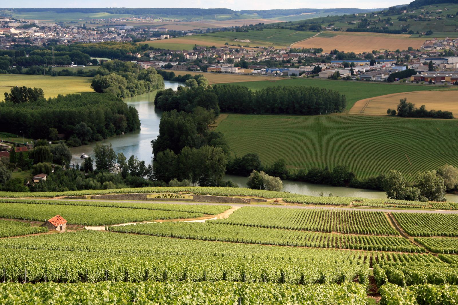 Champagne vineyards near Épernay