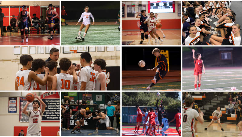 Picture of Winter Sports at Los Gatos and Saratoga High Schools