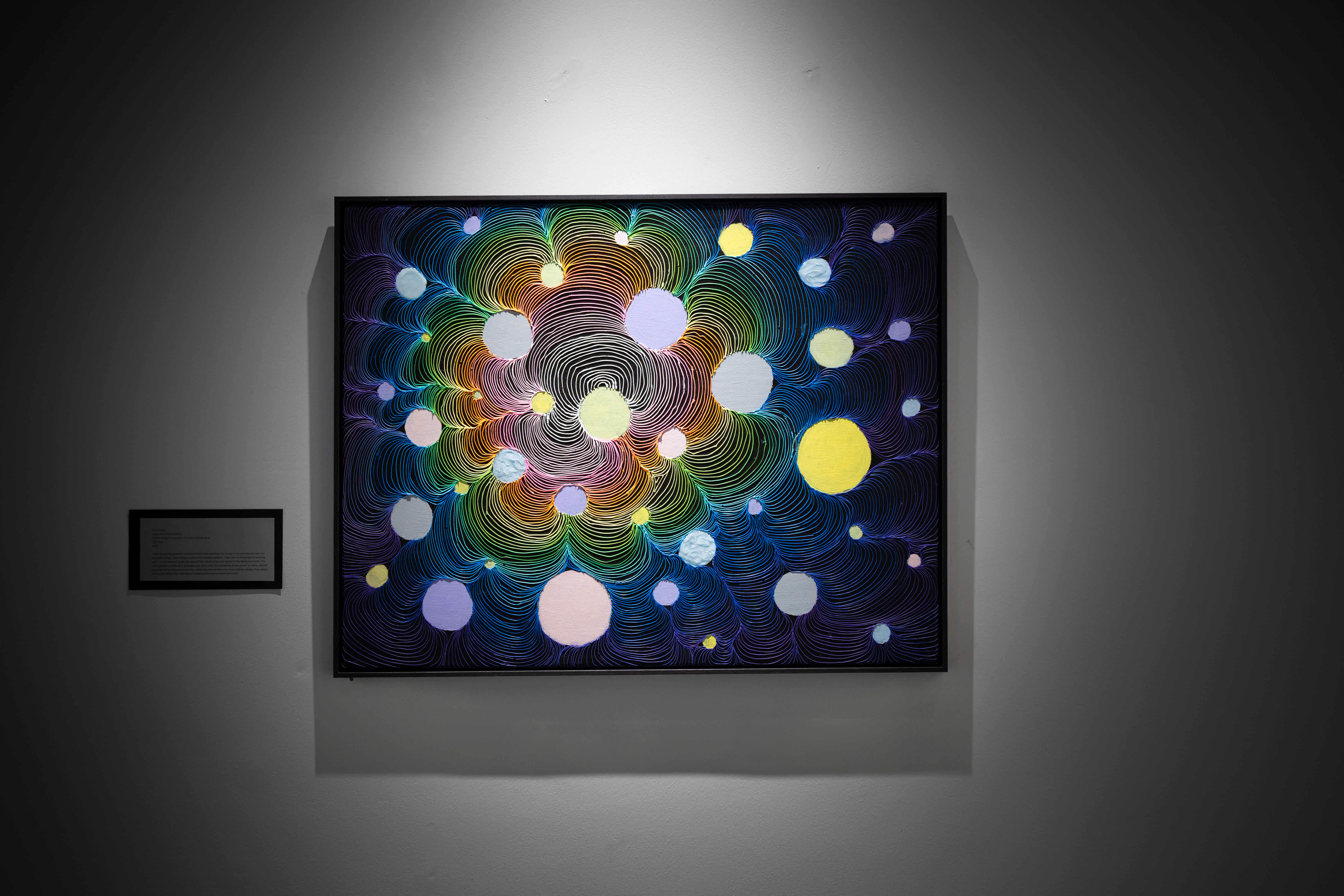 IB Art