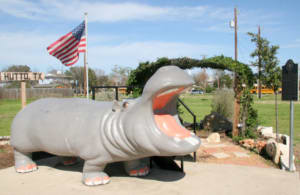 Henrietta the Hutto Hippo statue