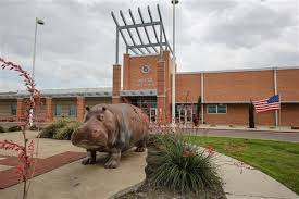 Hutto High School hippo statue