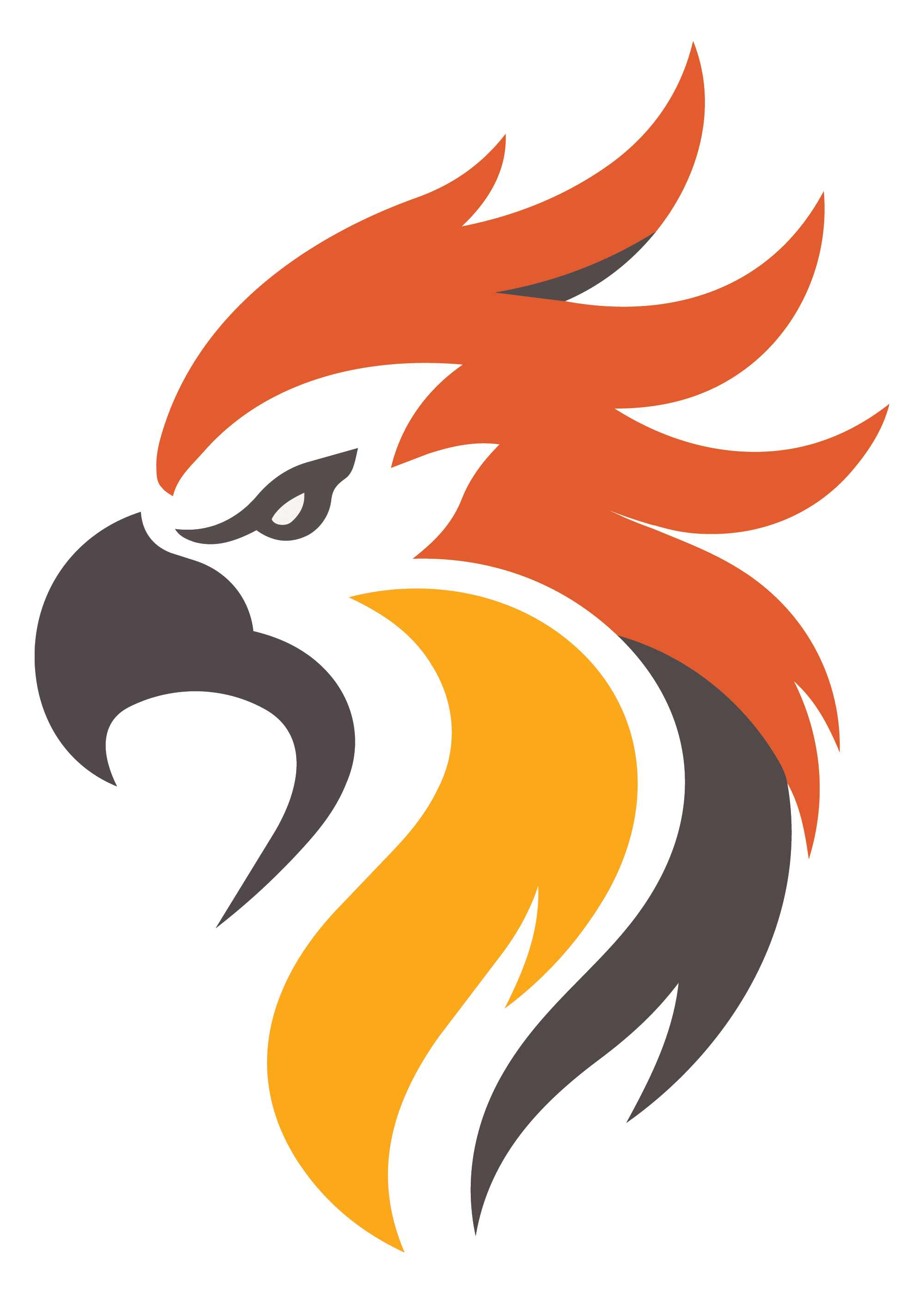 A stylized eagle's head with fiery orange and yellow plumage is set against a plain white background.