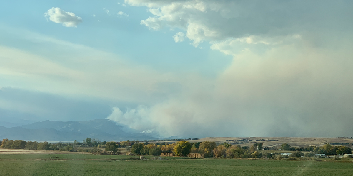 Noticias sobre el incendio en CalWood 3 Noticias sobre el incendio en CalWood 3