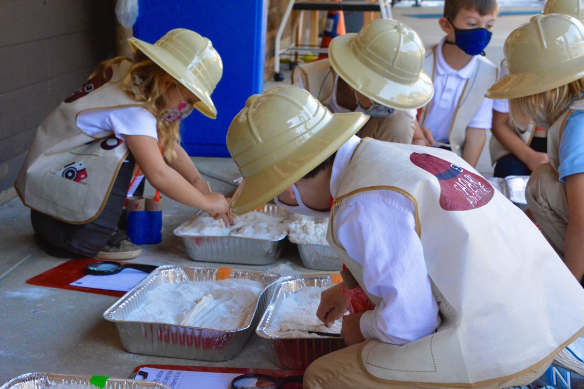 Putting on the Paleontologist Hat Single Post GFA Blog