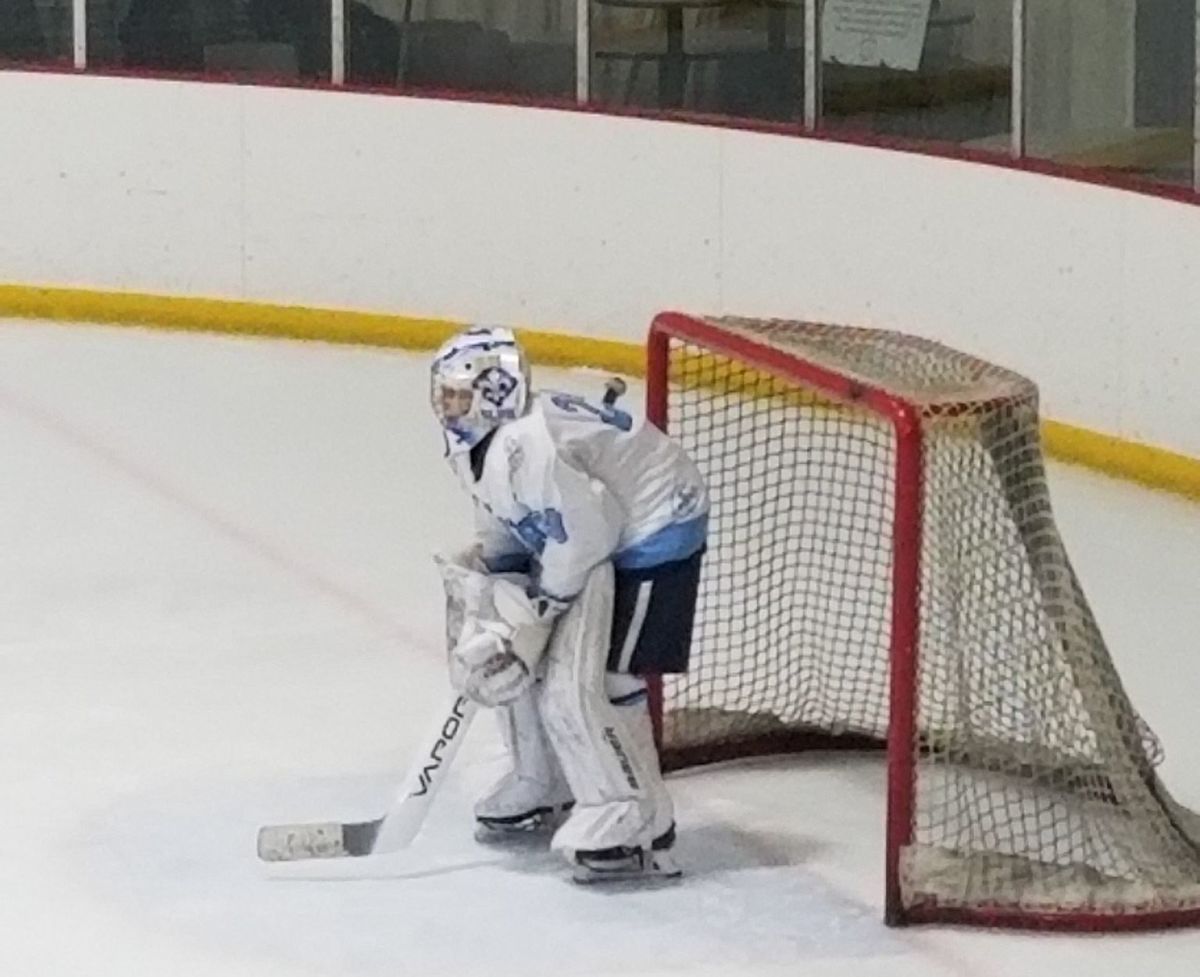 Hockey wins both games of doubleheader against Oakville Article