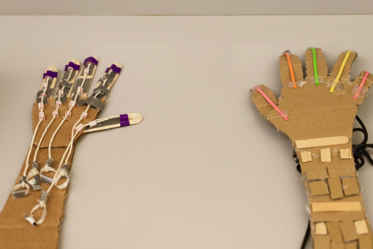 prosthetic hand science project