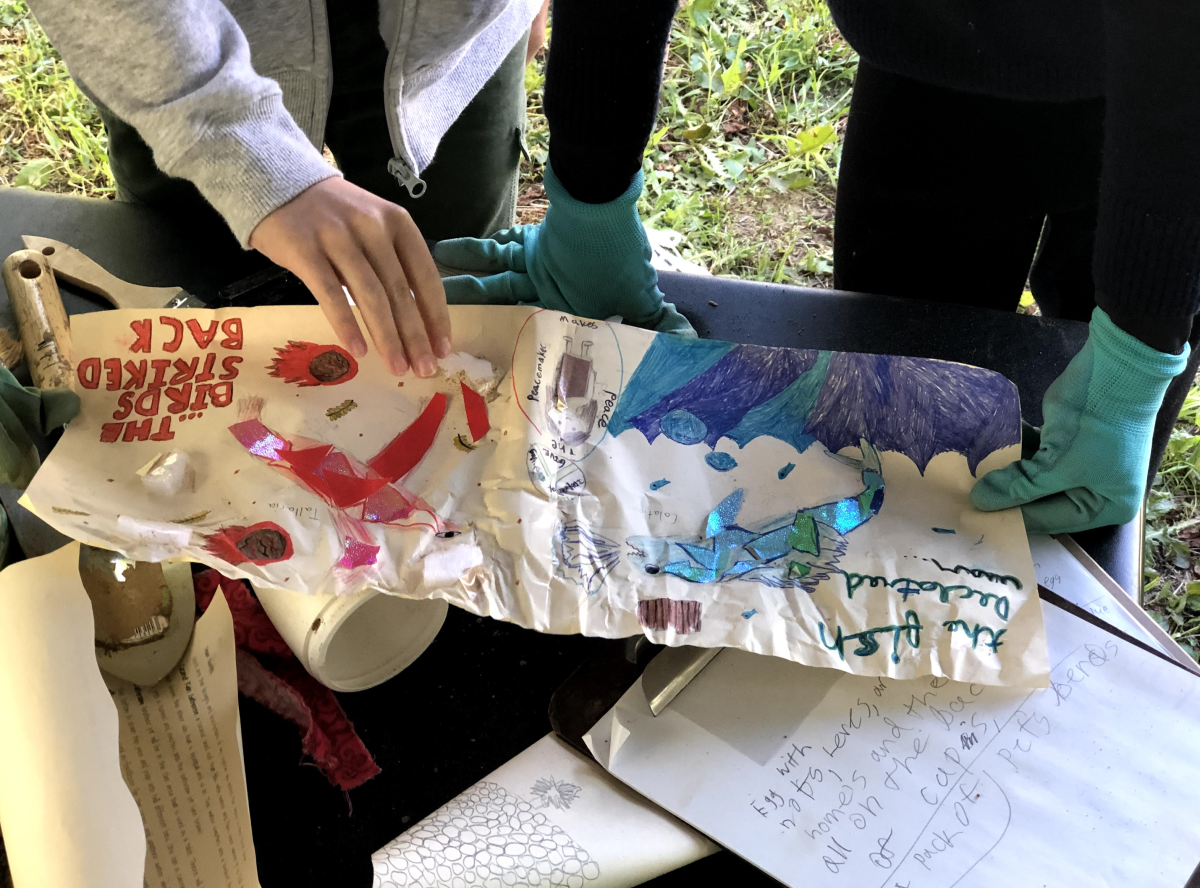Grade 5 Archaeologists Showcase Artifacts in On-Campus Museum | News Story