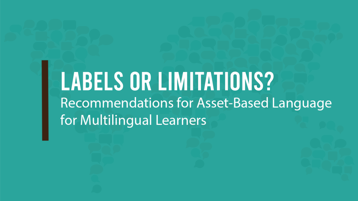 labels-or-limitations-recommendations-for-asset-based-language-for