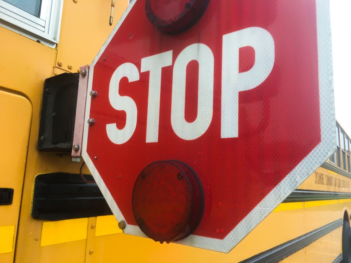 Bus Safety - The Importance of The Yellow Bus | News