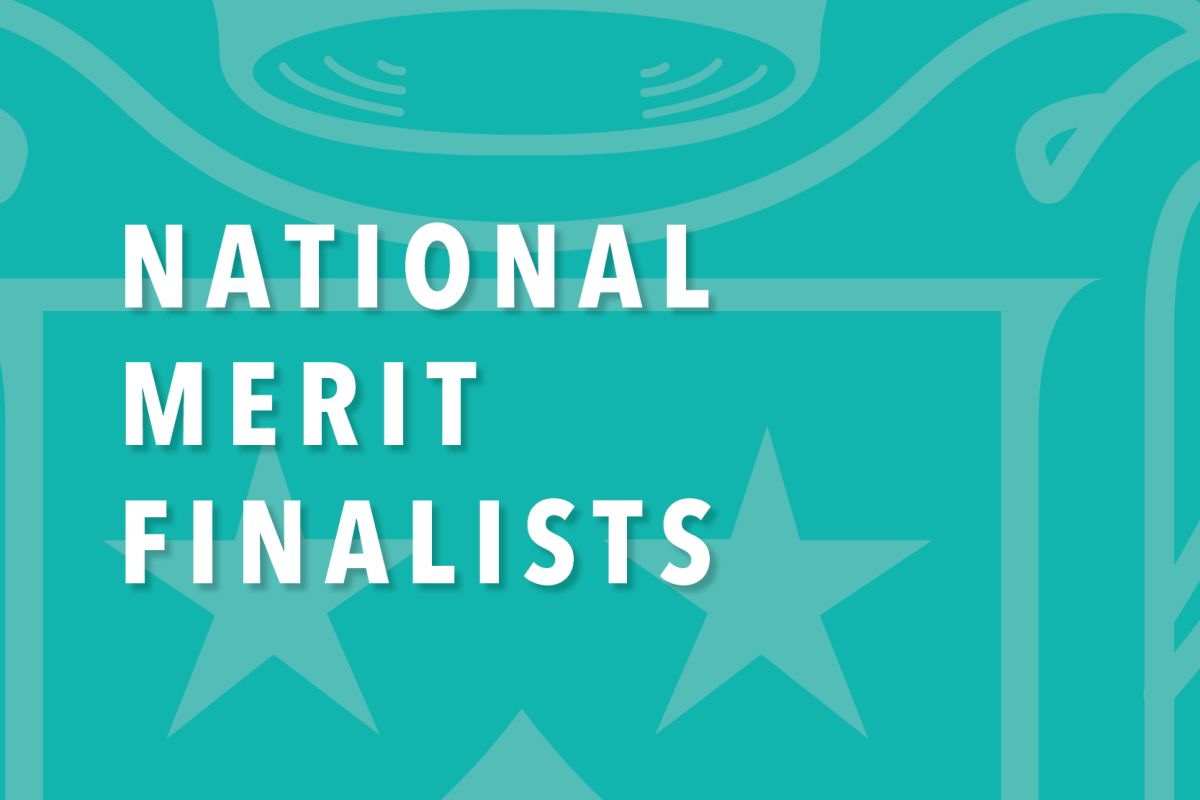 2022 NATIONAL MERIT FINALISTS BY STATE visual data 8