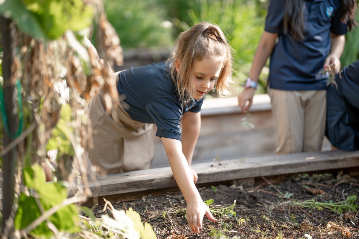 Outdoor Education Program in Houston, TX | The Fay School