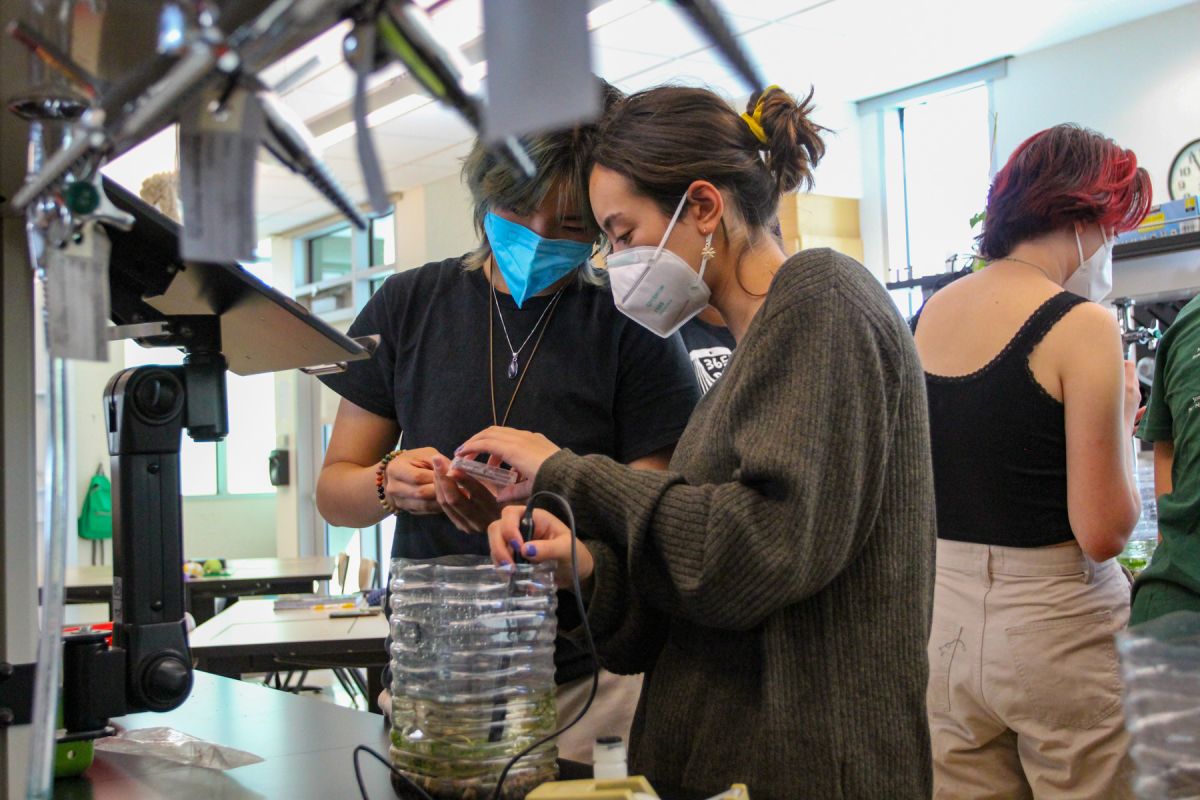 Upper School Students Complete EcoColumn Structures! News Post