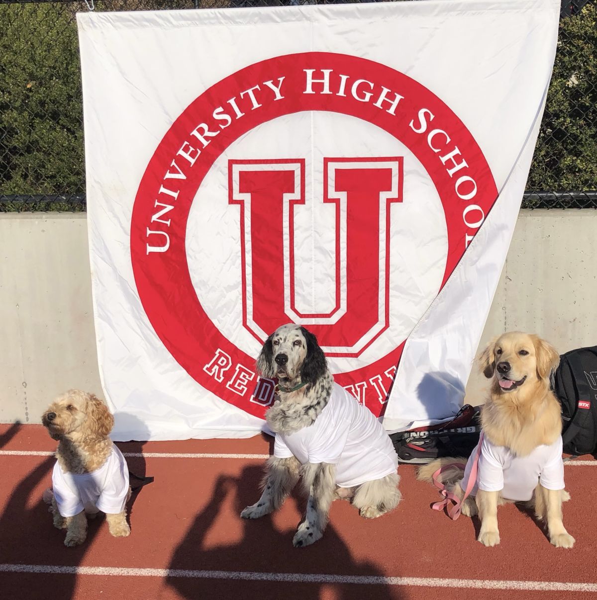 Let's Hear it for Big Red Friday! UHS School News