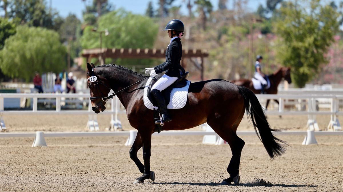 Oakwood Middle School Student Julia L. Places First in Northern ...