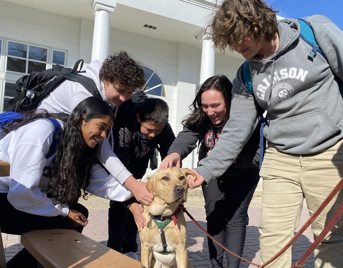 Service Dogs Spread Happiness on Campus Morristown Beard School News