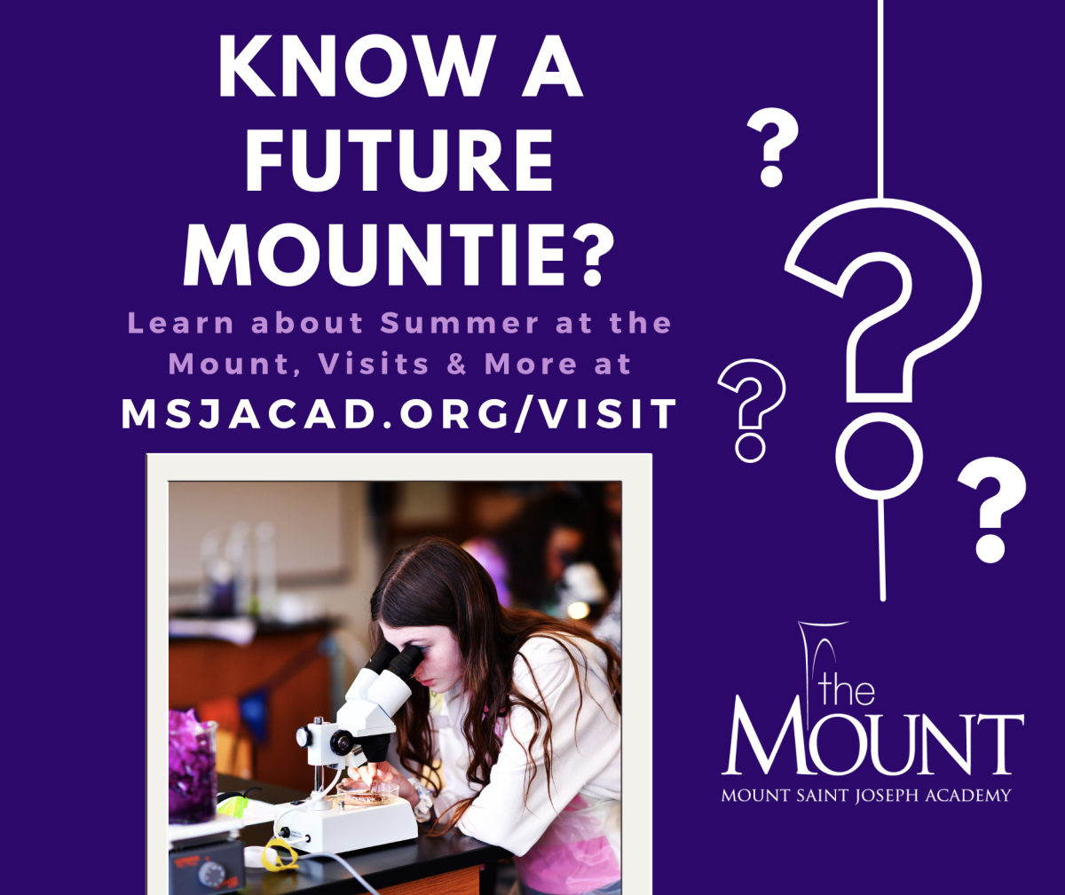 register-for-summer-at-the-mount-today-mount-news-posts