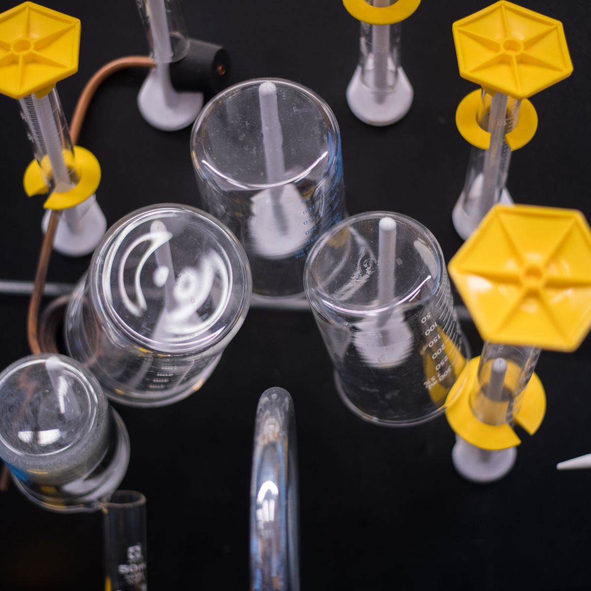 Packer Senior Named Regeneron Science Talent Search Scholar Story Detail