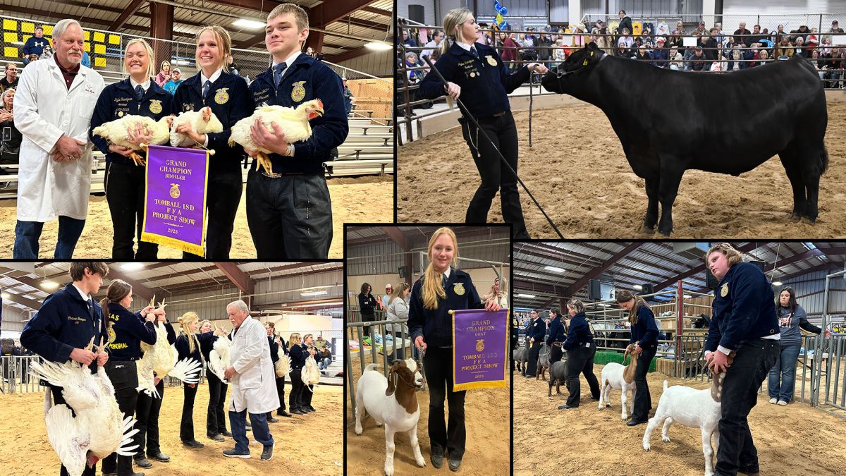 47th Annual Tomball ISD FFA Project Show Results News Details