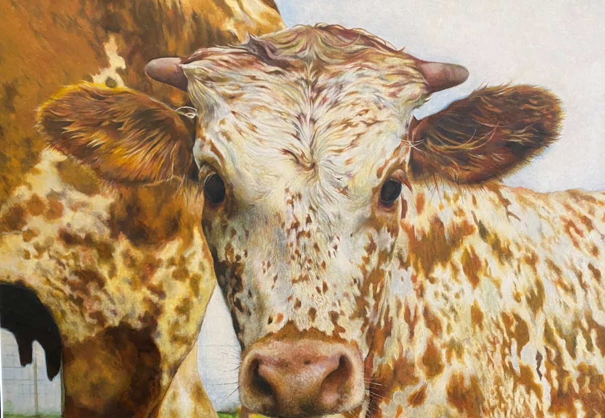 CCISD Rodeo Art Winners and Auction Qualifiers Stream Details