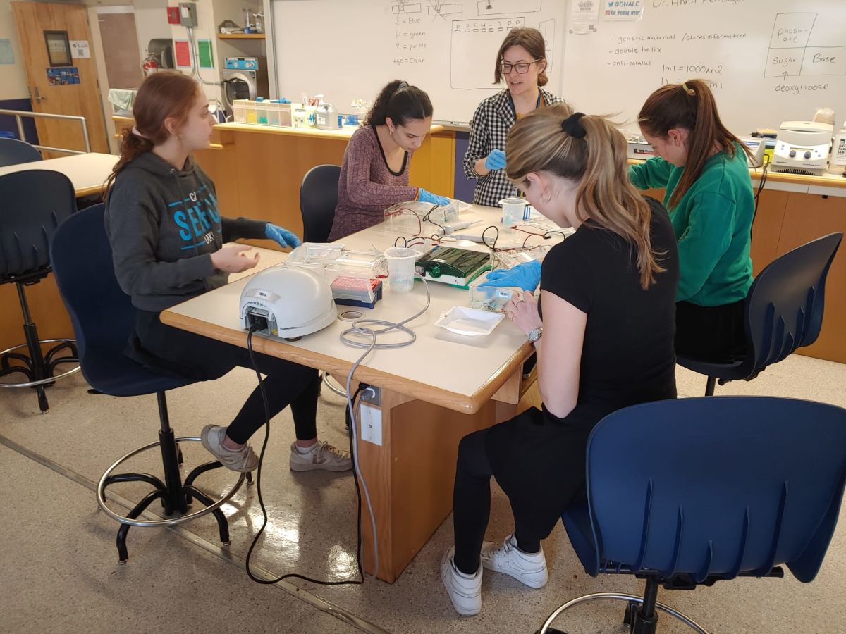 AP Biologists Run Experiments In A Real Lab | Ramaz News - The Ramaz School