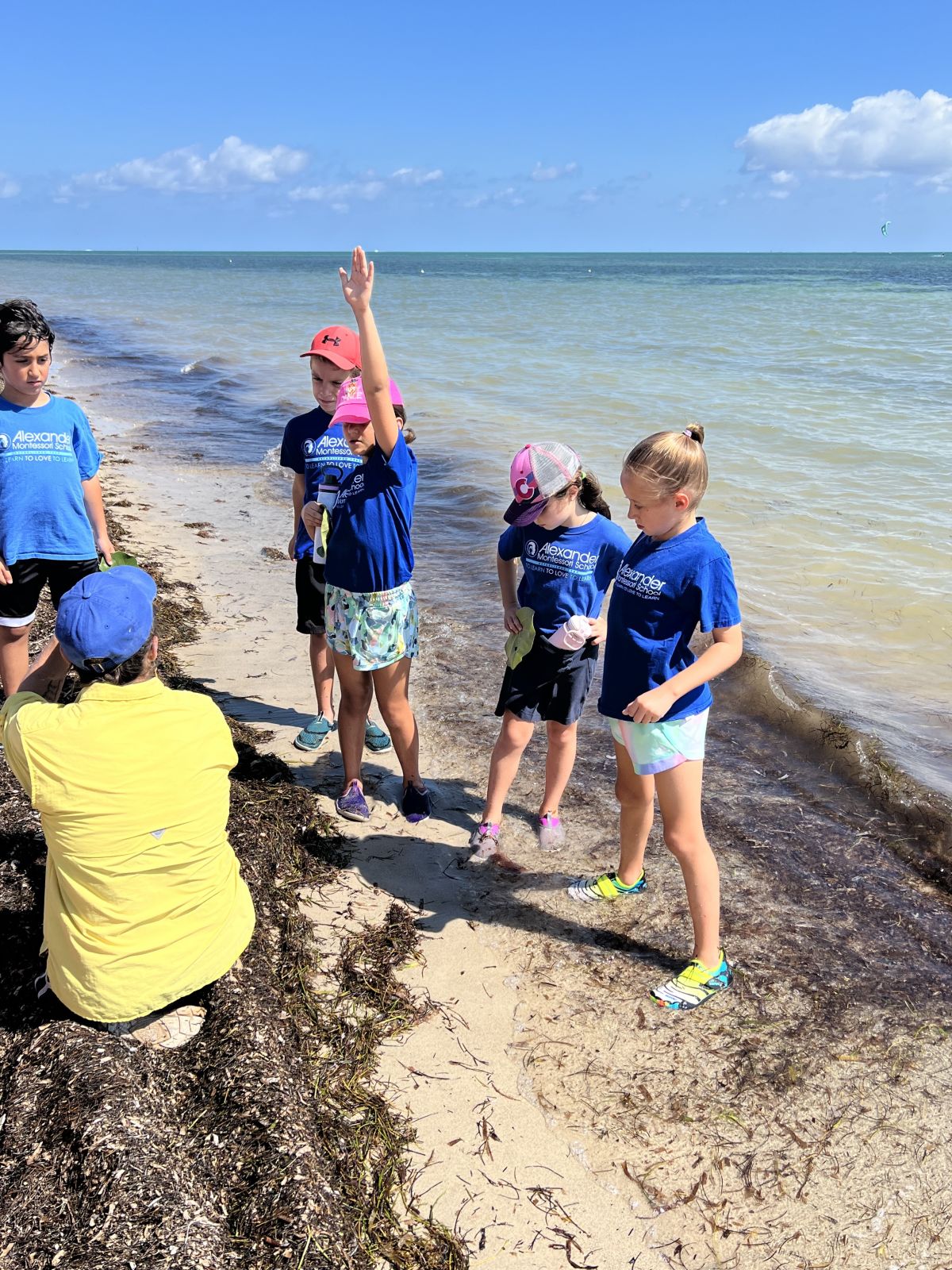 Students Visit Marjory Stoneman Douglas Biscayne Nature Center | News Post  - Alexander Montessori