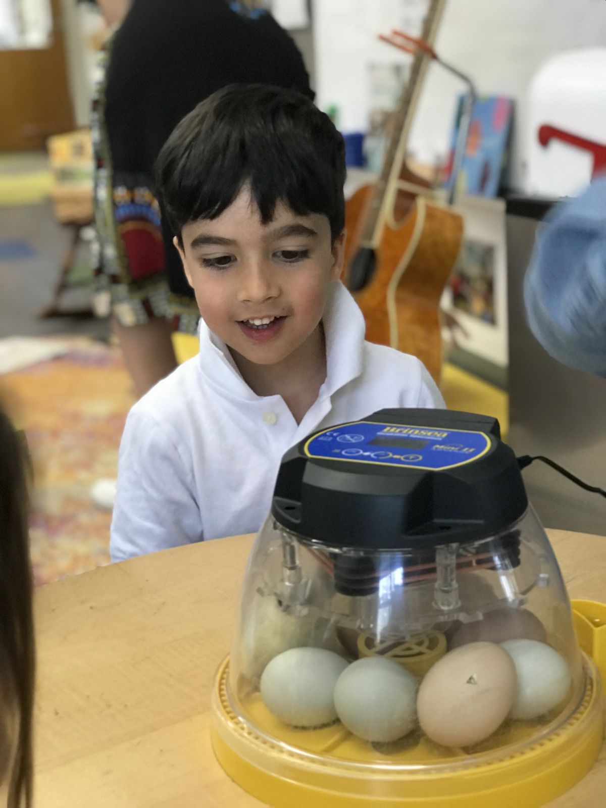 Nursery School Egg Hatching Unit News Story
