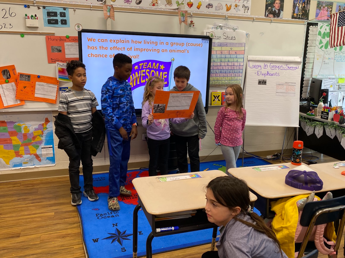 Little Britain students learn about animals News Story