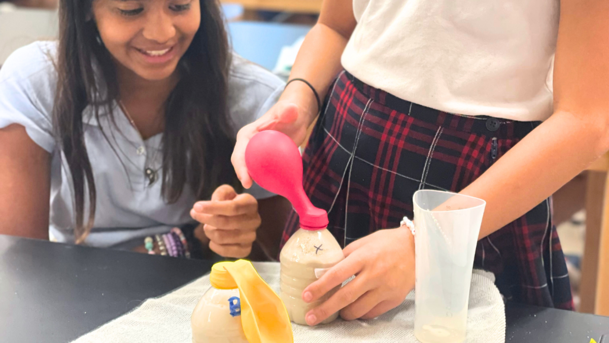 What is Life? What is Science? Welcome to Life Science! | blog post