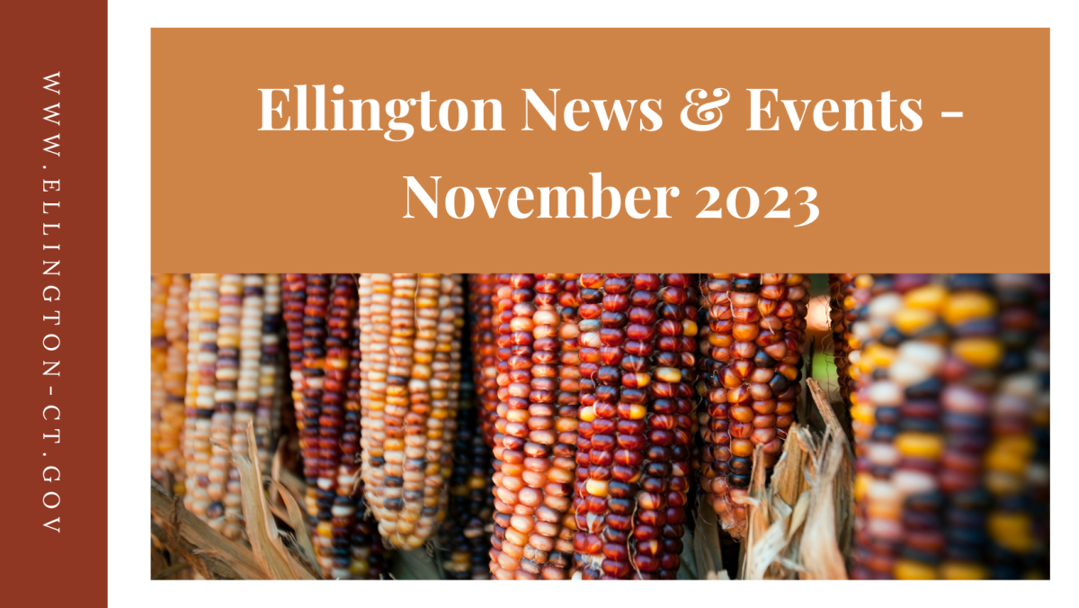 November 2023 Newsletter Town Newsletters