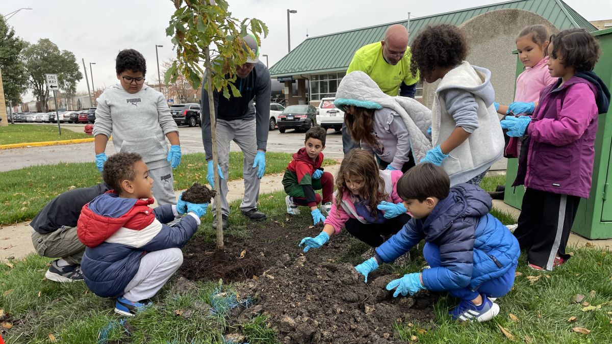 Elmwood Students Grow Their Knowledge After Planting Trees | District ...