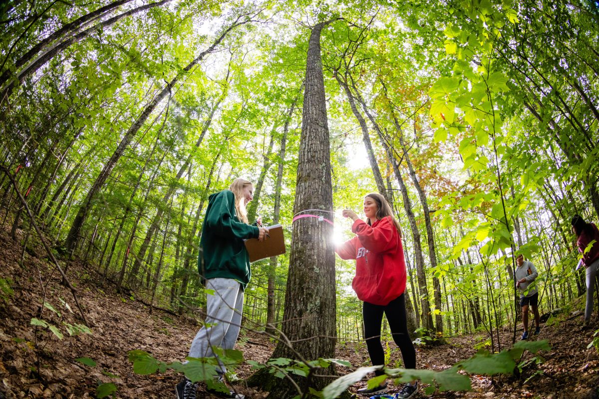 Environmental Benefits Of Carbon Sequestration