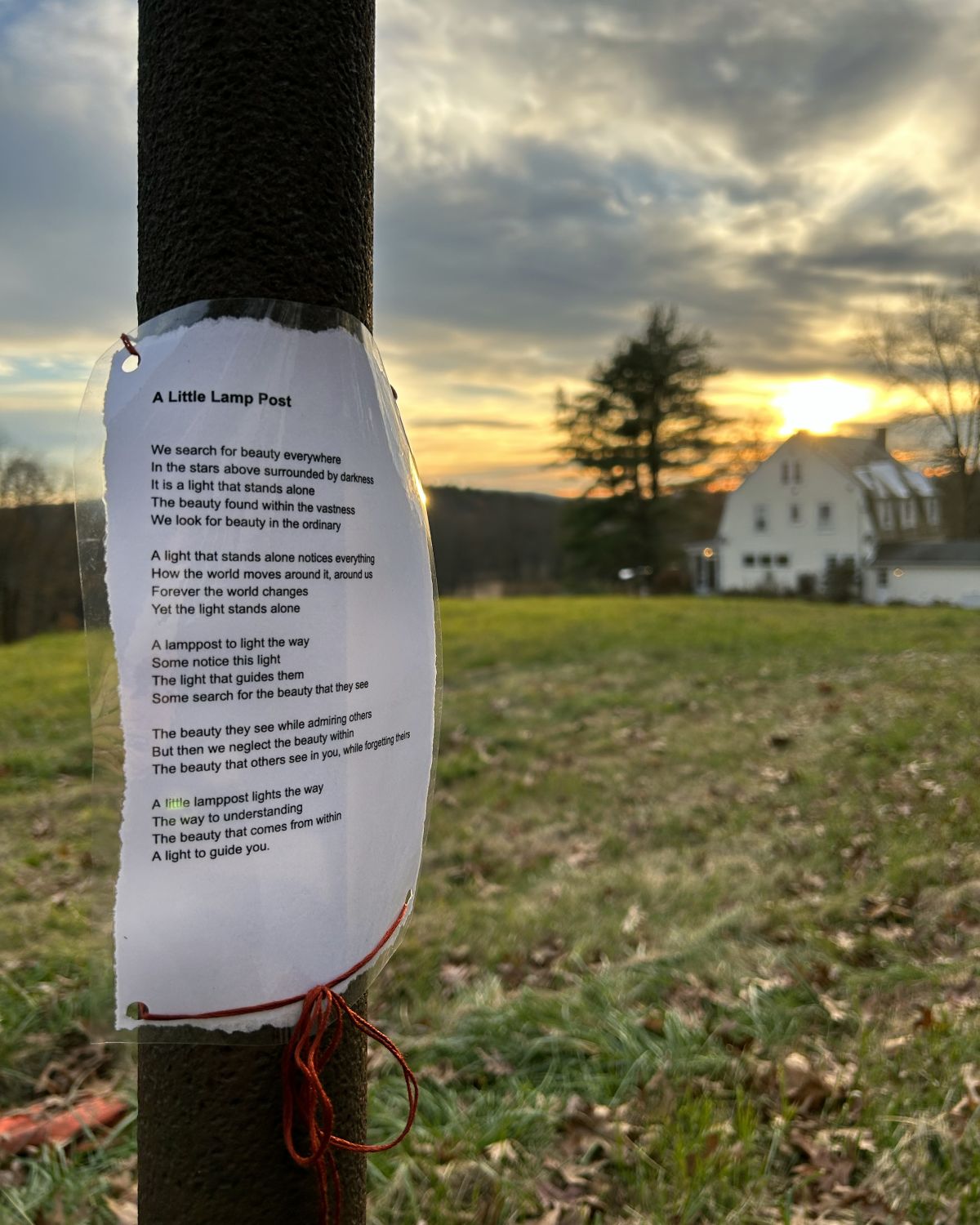 Students Share Poetry Across Campus | News Story