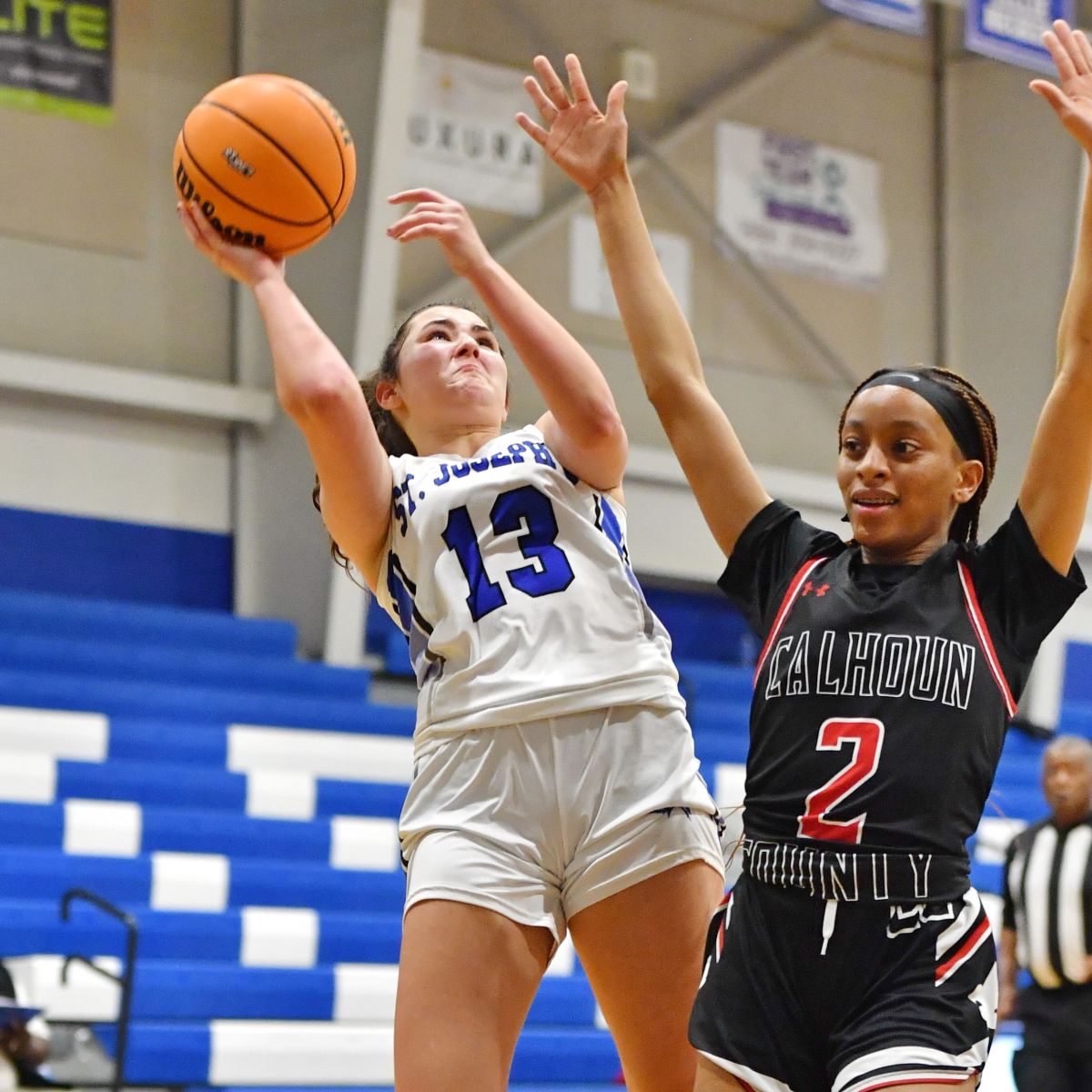 SJCS Girls Defeat Calhoun County, Advance to Second Round | Page Post ...