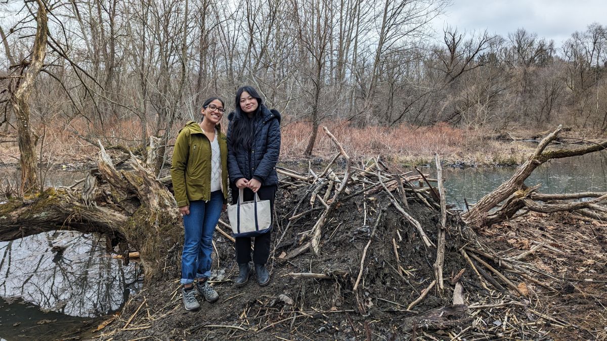 Poestenkill River Beavers News Details