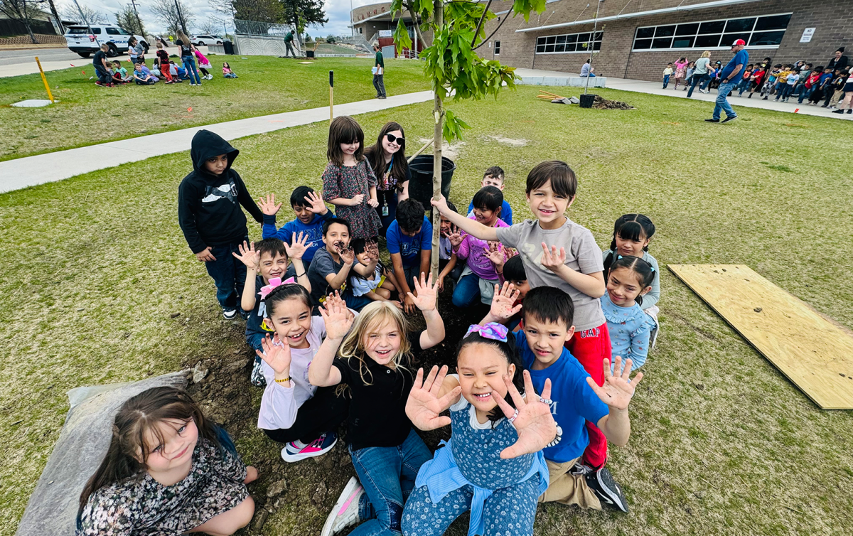 Students receive sustainability grant and plant trees | Details - STEM ...
