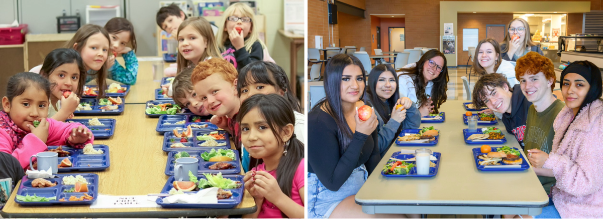 BVSD School Food Project growing healthy kids for over a decade | News ...