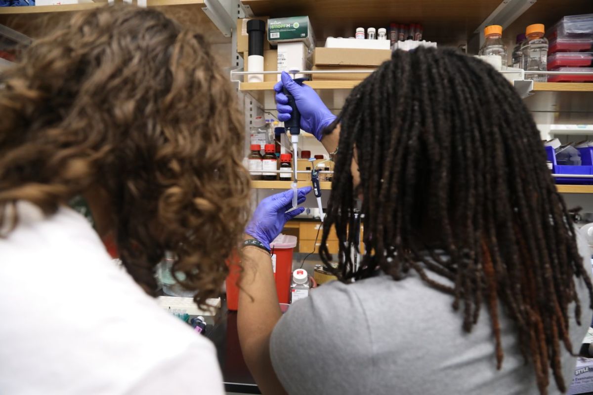 At Harpeth Hall’s STEM Summer Institute, girls use biomedical ...