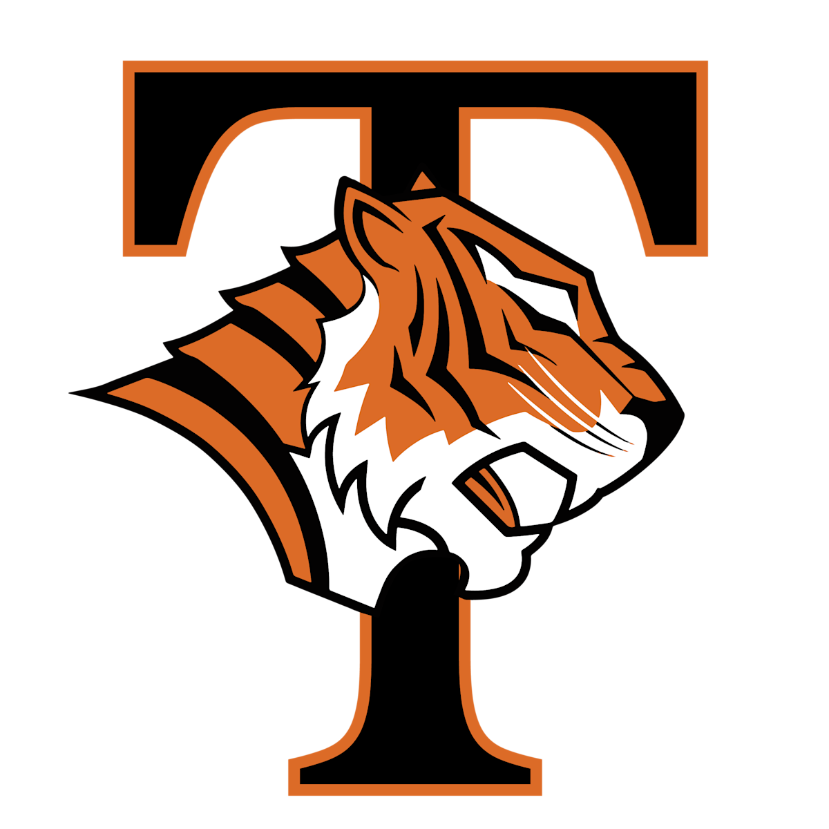 About Our School Tech High School