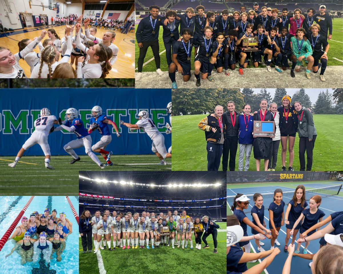 Fall Sports Preview 2024: Cross Country, Football, Soccer, Swim & Dive ...