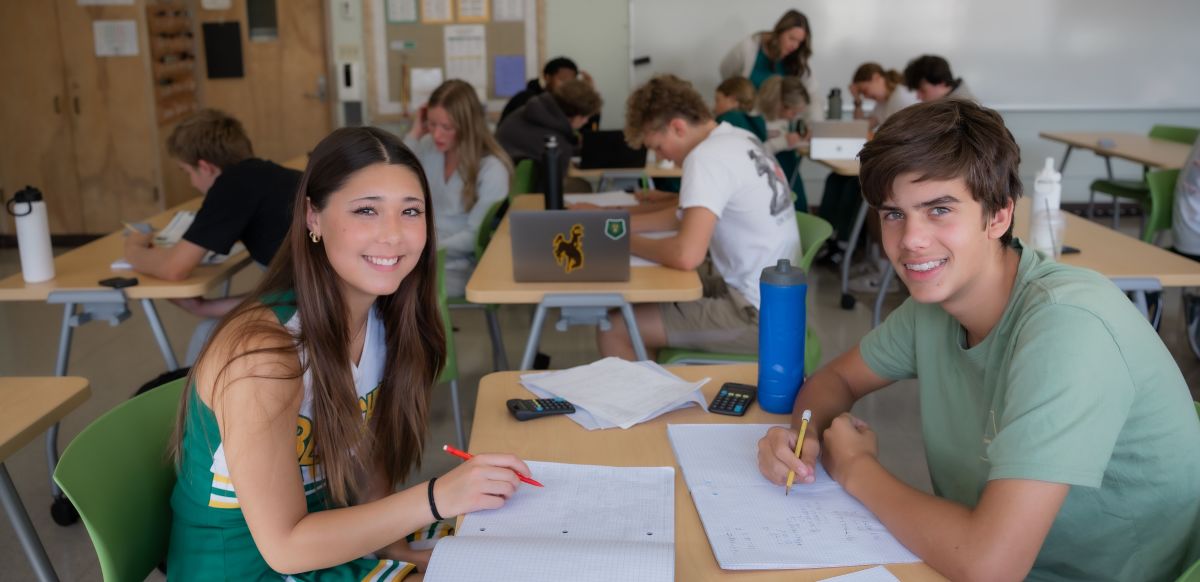 WHAT IS THE AP NATIONAL RECOGNITION PROGRAM visual data 3