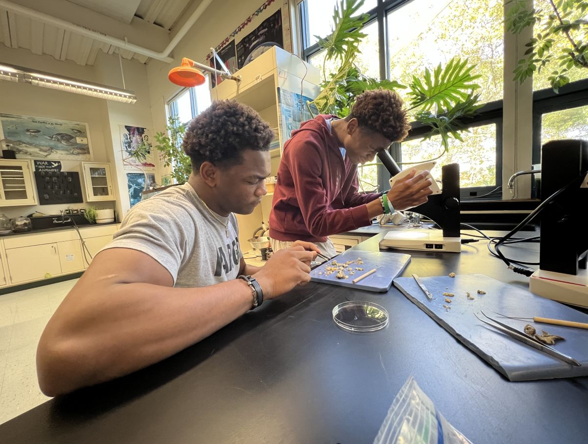 Springside Chestnut Hill Academy Introduces a Unique Biomedical Science