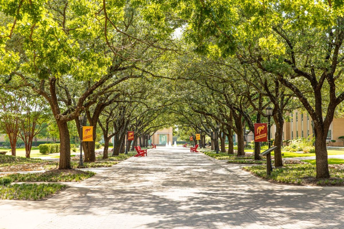 AC Ranks in U.S. News 2025 Best Colleges | News
