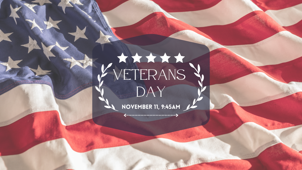 Veterans Day 2024 AMS North News & Updates