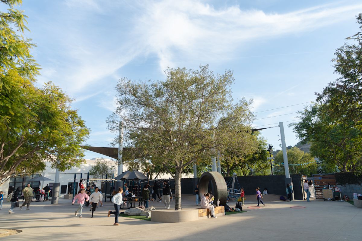 10 Key Experiences Willows Students Enjoy Before Graduation The