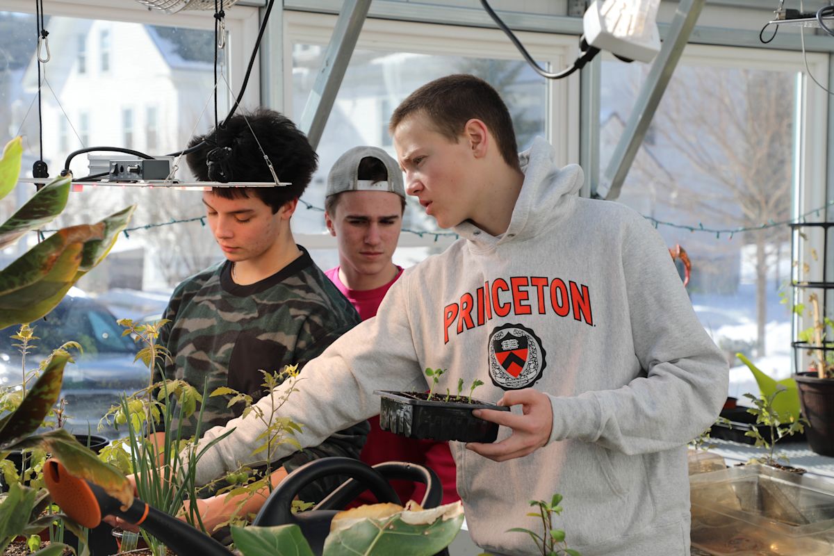 Learning and the Brain: Gamification | buzz-details