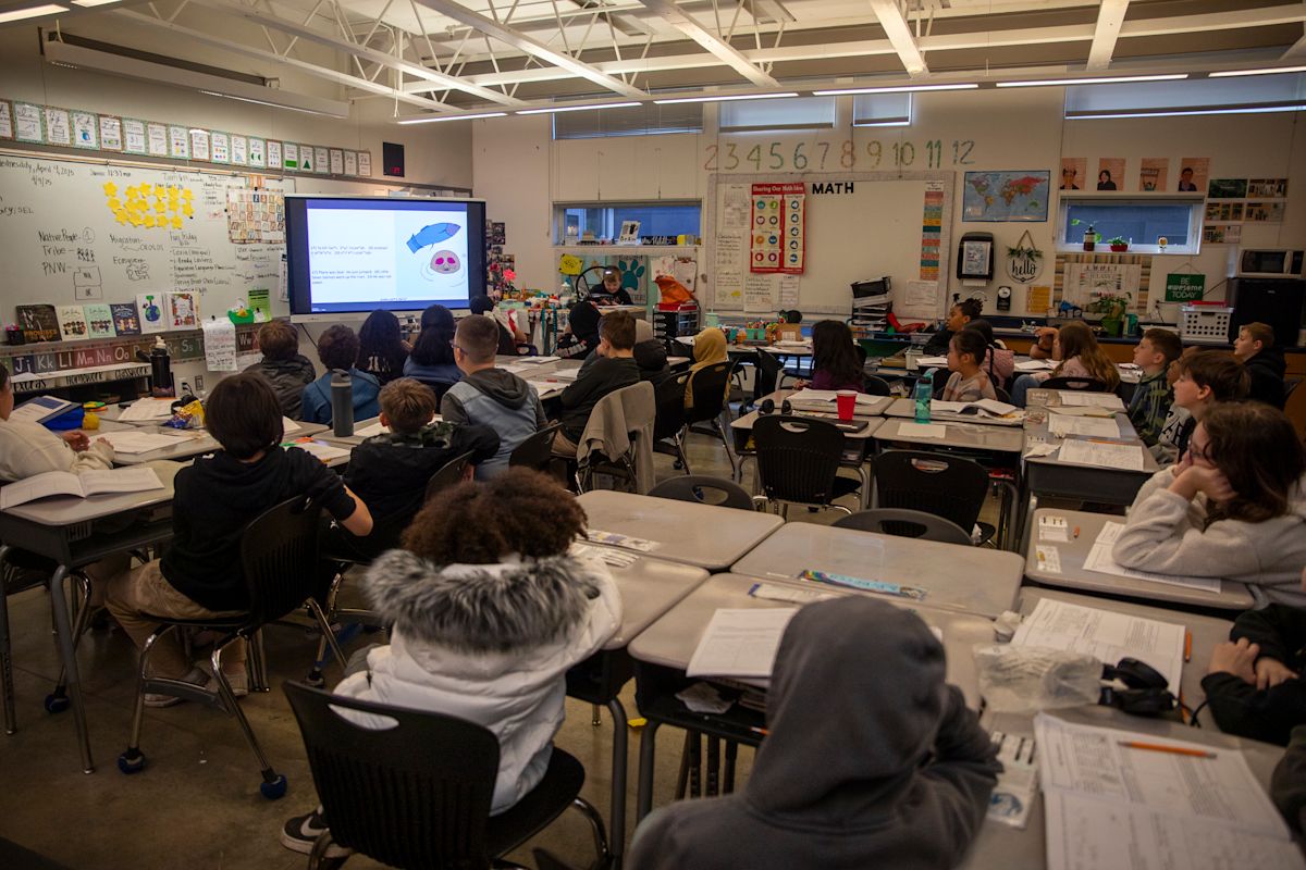 Lakeland Elementary's Learning Journey with Salmon | Story