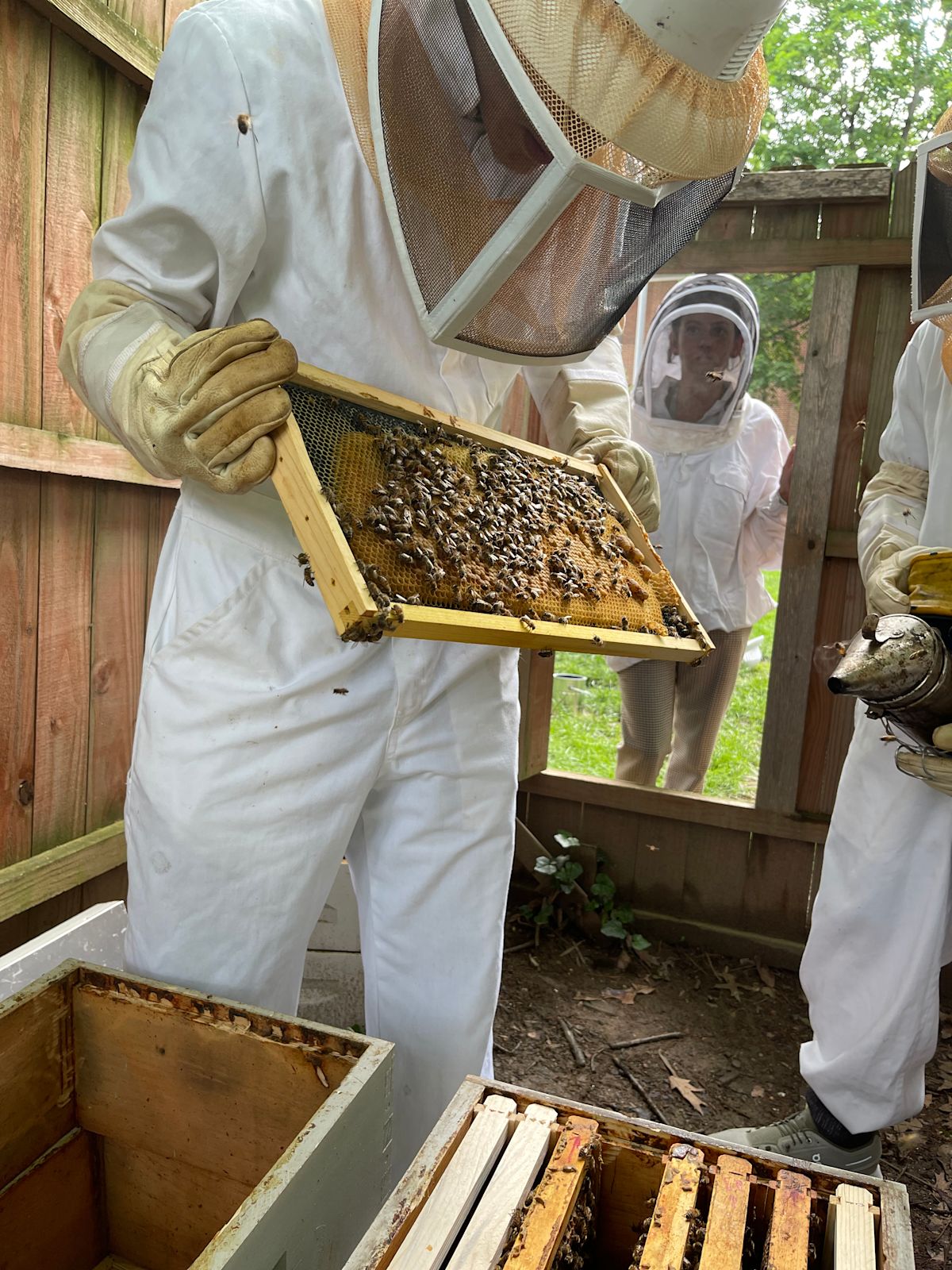 Nature Explorers Meet the Apiary Club at the Beehive | News and Events ...