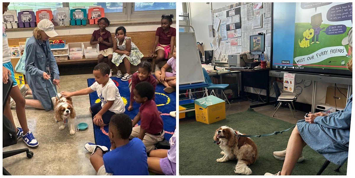 Mount Vernon Honor Academy students prepare for school transition with